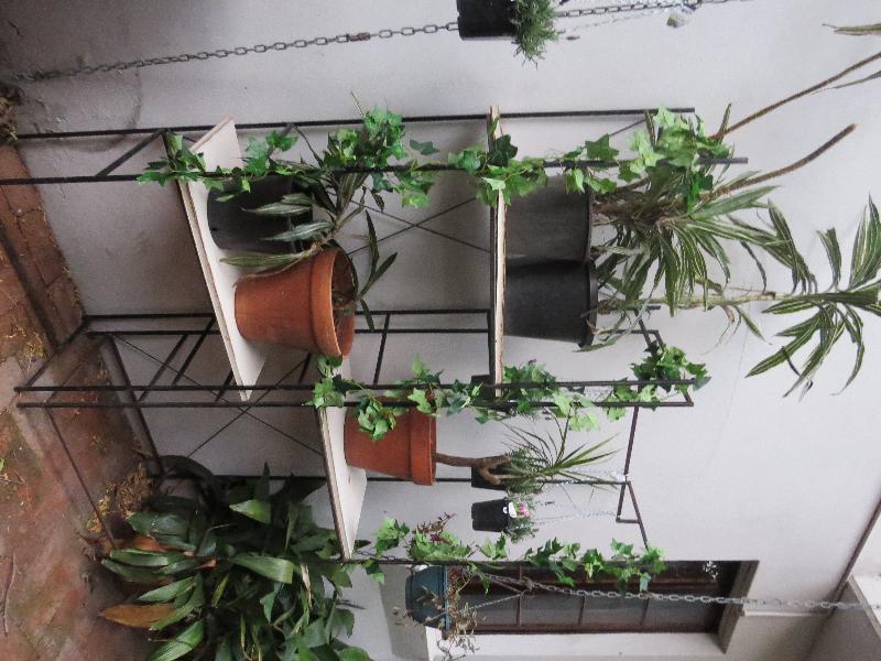 Newtown Cozy Stays Sydney Bagian luar foto